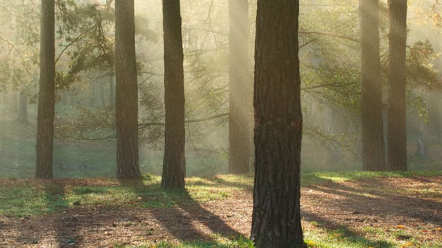 Counseling Resources Blog