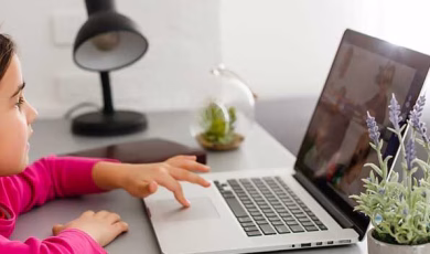 Negative Effects of Online Learning