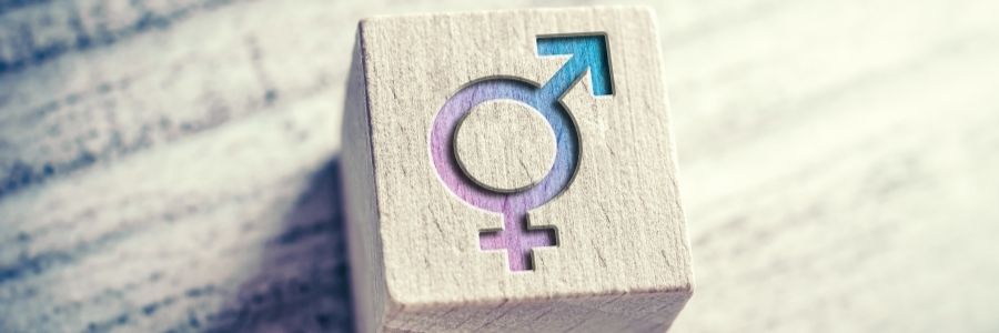 counseling for transgender issues